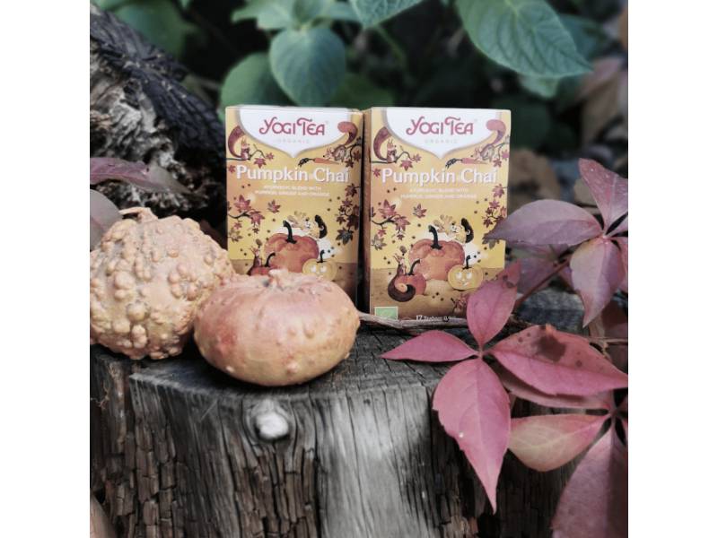 Pumpkin Chai infusion, de Yogitea