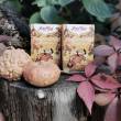 Pumpkin Chai infusion, de Yogitea